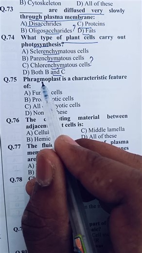 Understanding Phragmoplast in Plant Biology