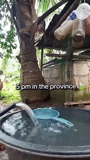 Simple live in the Province🍃