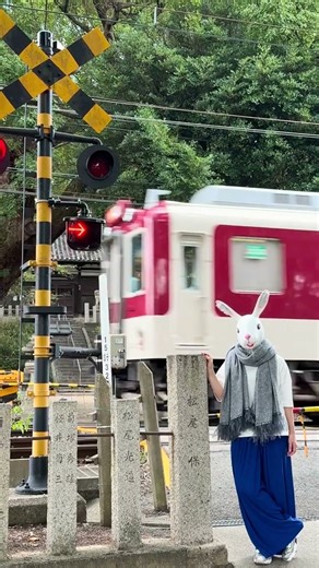 え？神社の中を電車！？【ビューティフルトゥナイト】#WONDERFULWORLD #神社 #鉄道 #mv #jpop #ハスキー #うさぎ #shorts