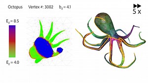 OptCuts- Joint Optimization of Surface Cuts and Parameteriz