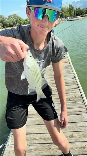 These baits will catch you INFINITELY more white bass! 🤯