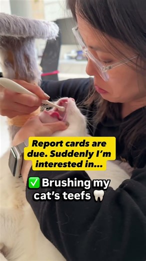 Teacher procrastination before report cards | Every teacher relates #teachingcommunity #teacher