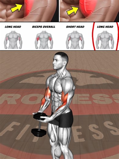 Complete Biceps Workout Strategy for Building Bigger Arms Without Wasting Training Volume #bicepsworkout #armtraining #biggerbiceps #bicepshypertrophy #bodybuilding