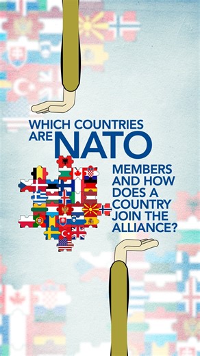 102K views · 761 reactions | Which countries are NATO members and how does a country join the Alliance? Watch to find out! | NATO | Facebook
