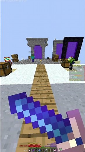 What's the BEST Budget Combat Pet in Hypixel Skyblock?
