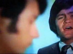 SHE-The Monkees