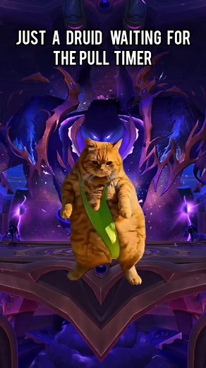 32K views · 702 reactions | Just a druid waiting for the pull timer #worldofwarcraft #warcraftmemes #wowmemes #worldofwarcraftaddict #worldofwarcraftmemes | Shax | Facebook