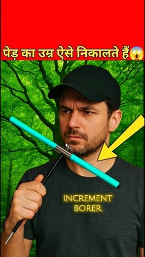 How Scientists Determine a Tree's Age Without Cutting It Down!