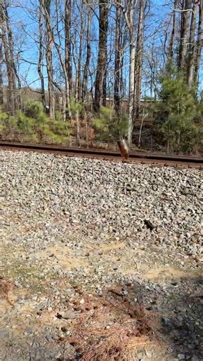 Exploding a glass bottle on the train tracks