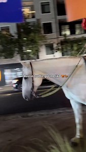 I mean... Uber was probably taking too long 🤣 (🎥: @mepaal12 ) #austinbucketlist #austin #atx | Austin Bucket List