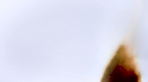 Download Burnt paper animations for overlays and video effects. Cinematic Stock Footage Elements. Paper burning effect for transition video and copy space for free