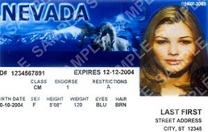 NRS § 483.230 - Driving Without a License - Nevada Law