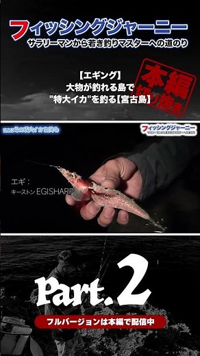 How to Target Cuttlefish in Okinawa [Highlight]