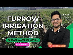 🔴 Ridge and Furrow Irrigation | Furrow Irrigation system | Surface Irrigation Engineering