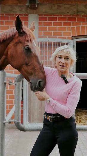 Bibi & Tina x Ingrid Klimke - Olympics