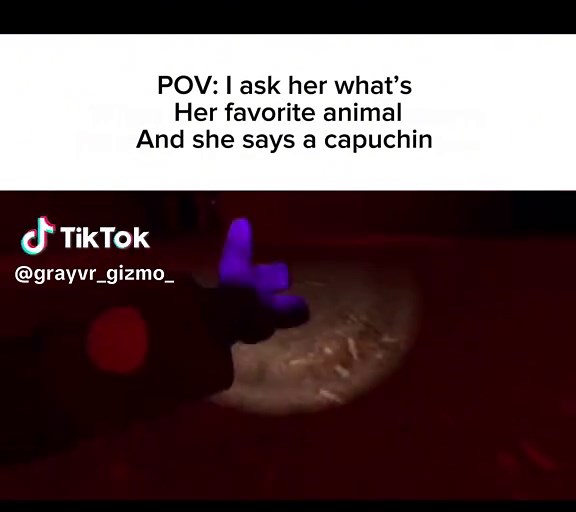 Nostalgic Memories of Capuchin VR Gameplay