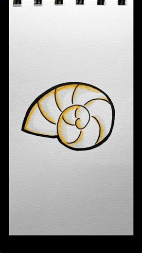 Super easy seashell drawing, art for kids #howtodraw #stepbystep #drawingtutorial #kidsvideo #simple