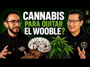 PODCAST #19 | Preguntas y Respuestas. REPRODUCCIÓN, INCUBACIÓN, WOOBLE y mucho más