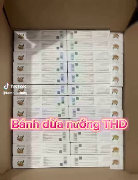 Bánh Dừa Nướng: Hương Vị Từ Tâm Hữu Dũng