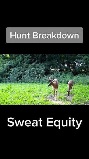 Big Buck Hunting Experience: A Story of Patience and Persistence