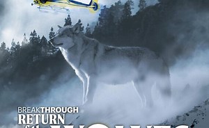 Sorry, we have encountered a problem. - Alexander Street, a ProQuest Company