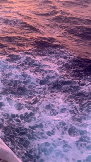 日本一周クルーズの楽しさと魅力