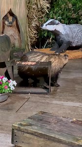 115K views · 3.9K reactions | Don’t worry Little Nutmeg that’s just Mr Lumpy watching over Narnia  They all did a double take of the new carving but soon came back 說❤️ | Mr Lumpy & Friends. | Facebook