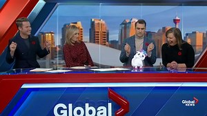 30K views · 671 reactions | WATCH: The toy llama was twerking, Dallas Flexhaug downed a fake cocktail - and then Jordan Witzel spilled Dallas's entire mug of coffee. Welcome to our Thursday! #BLOOPER | Global Calgary | Facebook