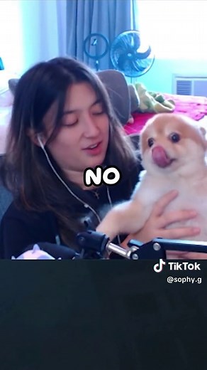 Sus Dog Meme: Chowing Down on Earwax