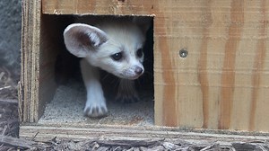 101K views · 2.9K reactions | We are excited to announce the birth of...