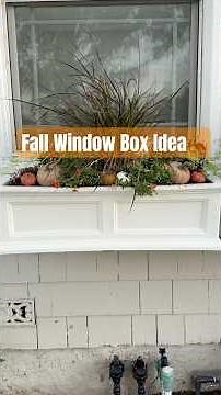 Fall Window Box Idea | Easy Seasonal Garden Decor 🍂 #fall #garden #fallflowers