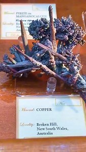 COPPER SPECIMEN 🔬 Copper is a versatile mineral that occupies the periodic table and is found as a metal in elemental form in a variety of minerals. Found in its native metallic form, it’s got a lovely reddish glow that makes it stand out. You’ll also spot it in flashy green and blue minerals like malachite and azurite, thanks to copper’s knack for forming compounds with oxygen and carbonates. It crops up in sulphides like chalcopyrite (its main ore) and bornite, often cheekily called "peacock 
