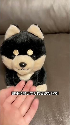 喋る犬(ぬいぐるみ) #shorts