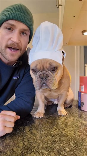 🐾 Dog Friendly Crisps/Chips recipe 🐾 The easiest Chewsdays with chef TJ recipe so far 👨‍🍳 A healthy high protein meat snack for your dog 🥩 #cheftj #dogrecipe #dogtreat #dogsnack #dogchef | TJ The Frenchie