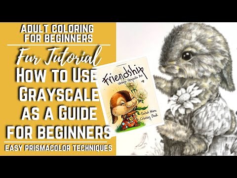 Fur Tutorial for Beginners | How to Use Grayscale as a Guide | Rachel Mintz Friendship | Part 1