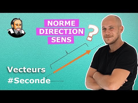 Know if 2 VECTORS have the same STANDARD, the same DIRECTION or the same SENSE - Corrected Exerci...