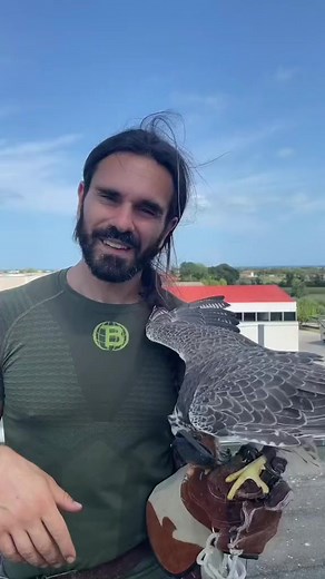 4.5K views · 281 reactions | Bird control solution #birdcontrol Festival delle aquile CampliInfo 3485345364Domenica 4 Giugno ore 11.00 #falcongPasseggiate wild a Civitella del trontoInfo 32084245402 giugno ore 10.30#falcong #passeggiatewild #festivaldelleaquile #abruzzo #italy #wild #wildexperience #falconry #life #falcon #giovannigranati #athenajitariuc#montigemelli www.montigemelli.itwww.falcong.it www.fortezzadicivitella.it | Falcong | Facebook