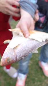 2K views · 22 reactions | This made them sick 濫 #ytshorts #prank #funny #shorts | K.Reel | Facebook