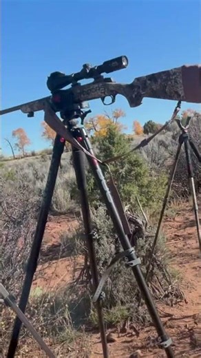 WAITING GAMES #muledeer #riflehunting #family #familytime #kids #godsplan