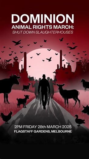 2.7K views · 2.1K reactions | Be part of Australia’s largest March...