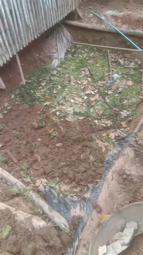 Chanapoom Poom Poom on Reels