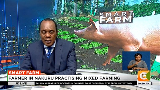 2.2K views · 60 reactions | Smart Farm: Farmer in Nakuru practising mixed farming Mixed farming involves livestock production and crop production #JKLive Jeff Koinange | Citizen TV Kenya | Facebook