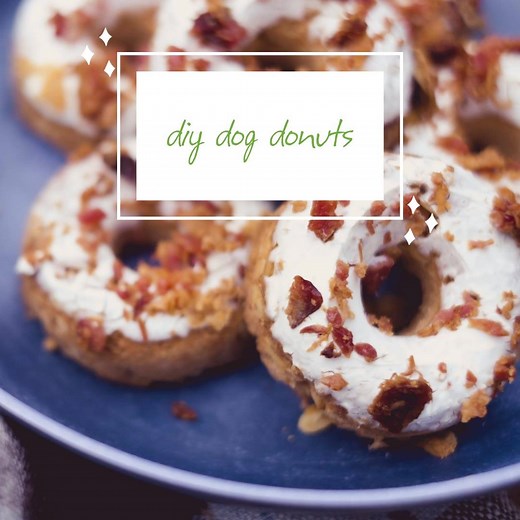 216K views · 3.5K reactions | These DIY Dog Donuts come together with just 5 ingredients and a little bit of love! Your canine companion will thank you. | VetriScience | Facebook