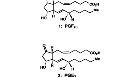 全合成的艺术（二）：Total Synthesis of Prostaglandin F2α and Prostaglandin E2
