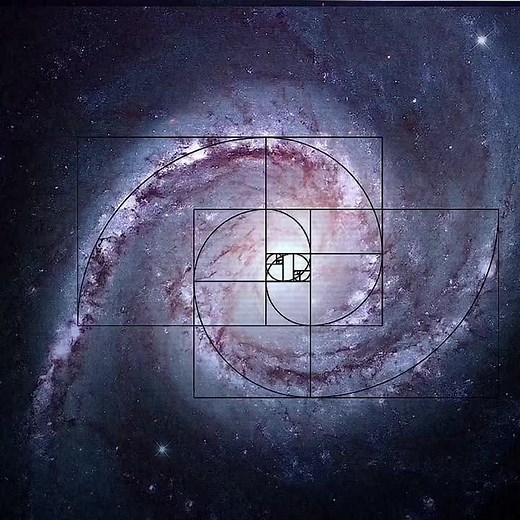 Understanding the Golden Ratio in Nature and Art