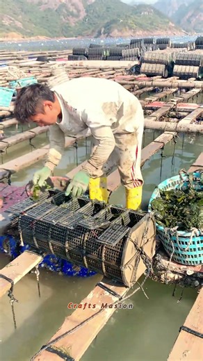 Récolte et entretien des casiers de mariculture en mer