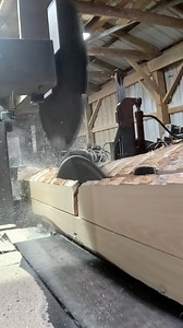 I give my thoughts on this log that was cut by a timber harvester! I don’t like needless defects, and I’ll explain why. I hope you enjoy!#satisfying #wood #lumberjack #asmr #short | Sawyerpool95