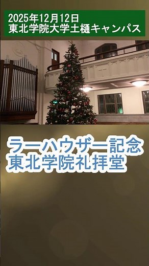 ラーハウザー記念東北学院礼拝堂のクリスマスツリー