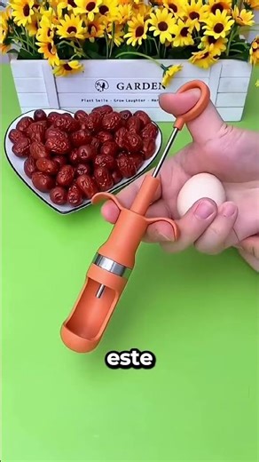 El Mejor Objeto Para Quitar Las Semillas De Los Dátiles 🤩