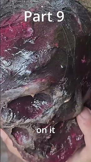 How to make a severed head film prop || Part 9 #DIY #Halloween #Prop #... #Shorts